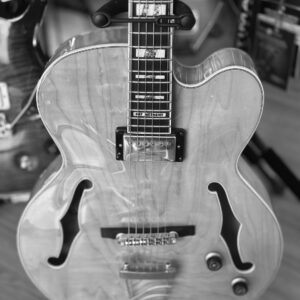 Ibanez PM2-AA Ibanez PM2-AA