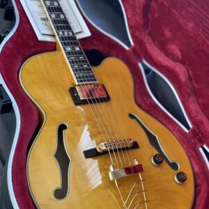 Ibanez PM2AA